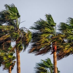 “Teaching children how to rise above hurtful words and stay emotionally strong”