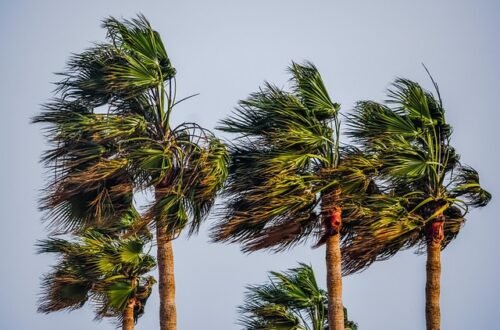 “Teaching children how to rise above hurtful words and stay emotionally strong”